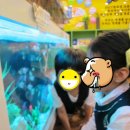 루크영어어학원 이미지