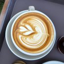 오송웨이브 이미지