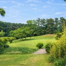 남부권 골프연습장 이미지