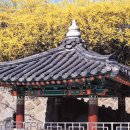 자산동118 이미지