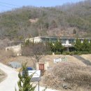 대동초등학교 이미지