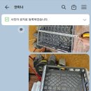 미미주 이미지