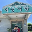 석송 | 예천 석송식당 묵밥 맛집, 석송령 근처 또또또간집 후기