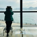 시모노세키 카이쿄칸 수족관 방문후기 (입장료/공연시간)