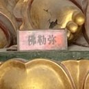 소망카닷컴 | 죽기 전에 꼭 가봐야 할 곳⛰️/ 블루베이 호텔, 72기루, 천문산 케이블카, 천문산사, 황석채, 중국과일 냠