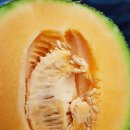 선들농장 이미지