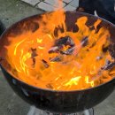 주식회사 조그만 | 반려견 동반 실내 글램핑 야외 바베큐 파주공간대여 더하품 방문 후기