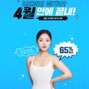 더마름다이어트