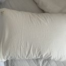 하네스트