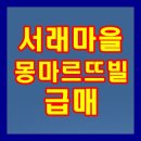 몽마르뜨빌 이미지
