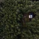 둥지(네스트) 이미지