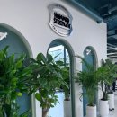 신진그린 이미지