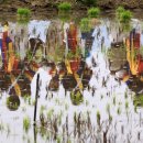 오덕 5리 이미지