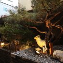 욜로모텔 이미지