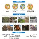 흥농농약사 | 킹 고추 1,200립/조생종 극대과종 탄저병 바이러스 복합 저항성 중간매운맛 고추 씨앗/팜한농 흥농씨앗