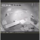 우다닥 고양이호텔 이미지