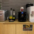 브라운도트거북섬점 이미지