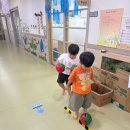 8/5 얼음컬링/자유놀이 이미지