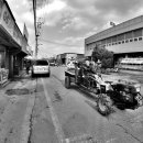 공성시장 이미지