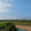 일죽 청미천 이미지