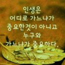 일일시호일 이미지