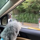 스튜디오크랙 이미지
