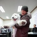왕초네 이미지