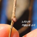 보배 어린이공원 이미지