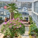 안산 식물원 이미지