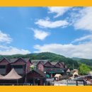 하나비발디레져