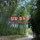 한옥테크 | 담양 죽녹원 대나무숲 힐링 여행 후기 I 위치·주차·관람코스 + 담양호 방문후기