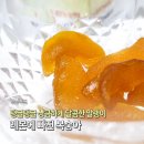 정심푸드 | 한 봉 순삭! 텁텁함 없는 과일 말랭이 | 정심푸드 레몬에 빠진 복숭아, 당근 고구마 말랭이