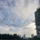 세니의 다락방 이미지