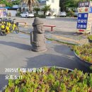 제주도 여행