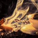 차선생 body factory 이미지