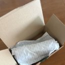 로이드 화이트 타임리스 3MM 베이직 테니스 팔찌 XS 내돈내산 후기