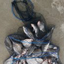 항포낚시터 이미지