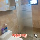 메종 드 지안 네이버블로그