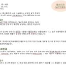 솔로몬국제여행사