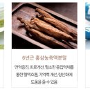 에이에스디 이미지