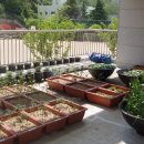 공간꽃조경 이미지