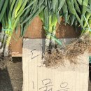 성산국민체육센터 이미지