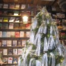 나도 모델이 될 수 있다? 시니어 모델 입문이 궁금하다면 | 입문용 빈티지 디카 추천ㅣ캐논 ixus 95is (ixy 110 is), 작례 포함