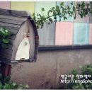 생활영어(중급) 이미지