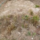 하늘뜰 농장 이미지