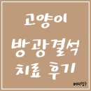 이즈 동물병원 | 방광결석 수술없이 실제 치료 과정, 혈뇨에서 완치까지 후기, 결석 보조제 &#39;스트루&#39; (이문동 이즈동물병원)