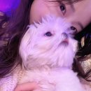 아띠아지 | 30대에 무슨 사춘기가 와요