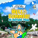 반려견과 즐기는 숲속 물놀이…강아지숲 네이처풀 오픈 이미지