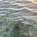 길리 트라왕안 가족 인생샷! 해뜰녘 패들보딩, 아일랜드가이드 Island Guide 후기 (내돈내산)