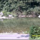 패밀리아 이미지